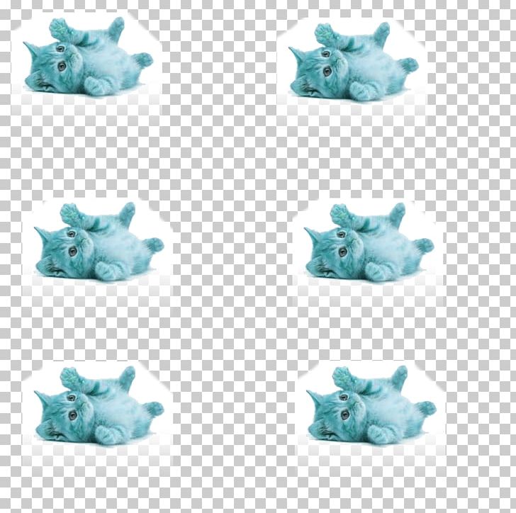 Kitten Turquoise Laptop Cuteness Organism PNG, Clipart, Aqua, Cuteness, Figurine, Kitten, Laptop Free PNG Download
