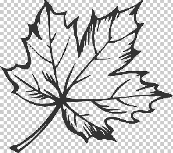 How to draw a LEAF easily - YouTube