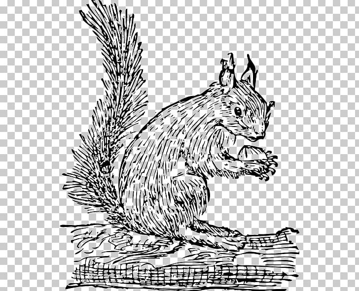 Squirrel Free Content PNG, Clipart, Acorn, Big Cats, Carnivoran, Cartoon, Cat Like Mammal Free PNG Download