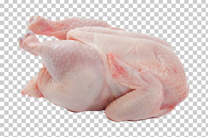 Chicken Leg Chicken Meat Broiler PNG, Clipart, Animal Fat, Animal Source Foods, Beef, Broiler, Broiler Chicken Free PNG Download