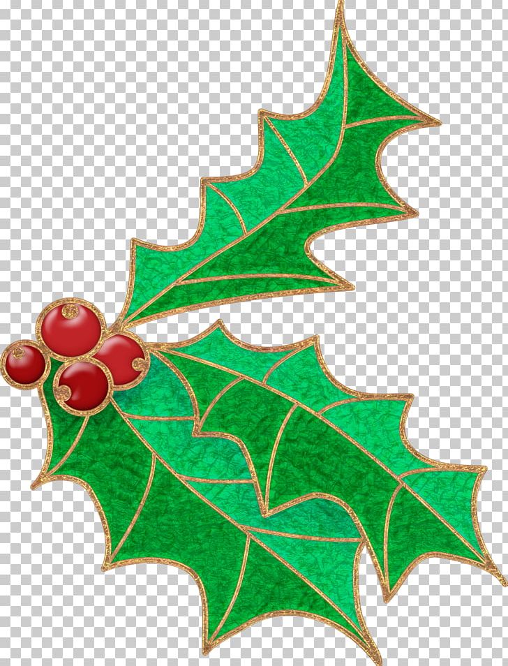 Christmas Ornament Aquifoliales Leaf PNG, Clipart, Aquifoliaceae, Aquifoliales, Branch, Christmas, Christmas Decoration Free PNG Download