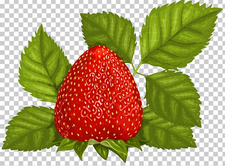 Juice Strawberry Fruit Leaf PNG, Clipart, Accessory Fruit, Berry, Clip Art, Clipart, Food Free PNG Download