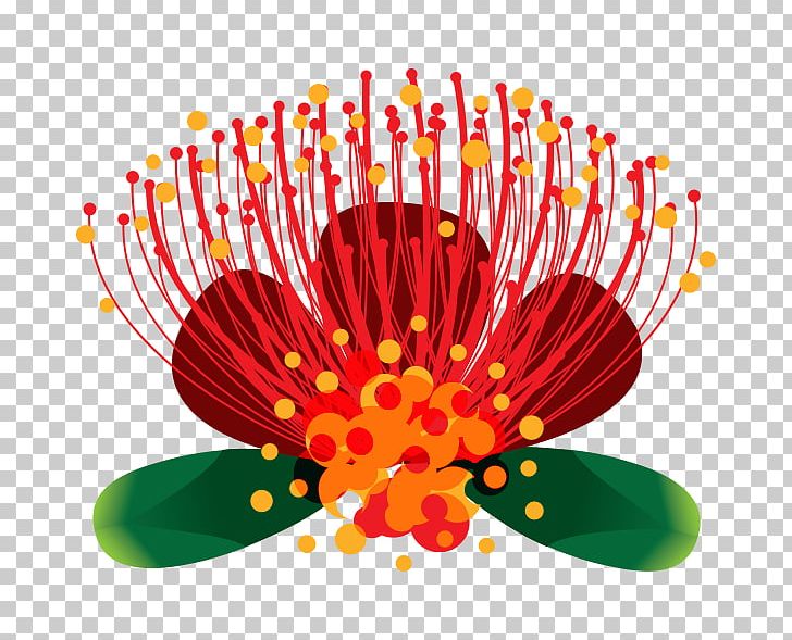 New Zealand Christmas Tree Rangitoto Island Flower PNG, Clipart, Christmas, Christmas Tree, Daisy Family, Floral Design, Flower Free PNG Download