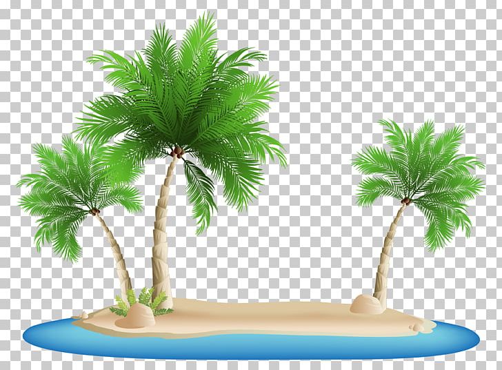 Palm Islands Arecaceae PNG, Clipart, Arecaceae, Arecales, Beach, Clip Art, Coconut Free PNG Download