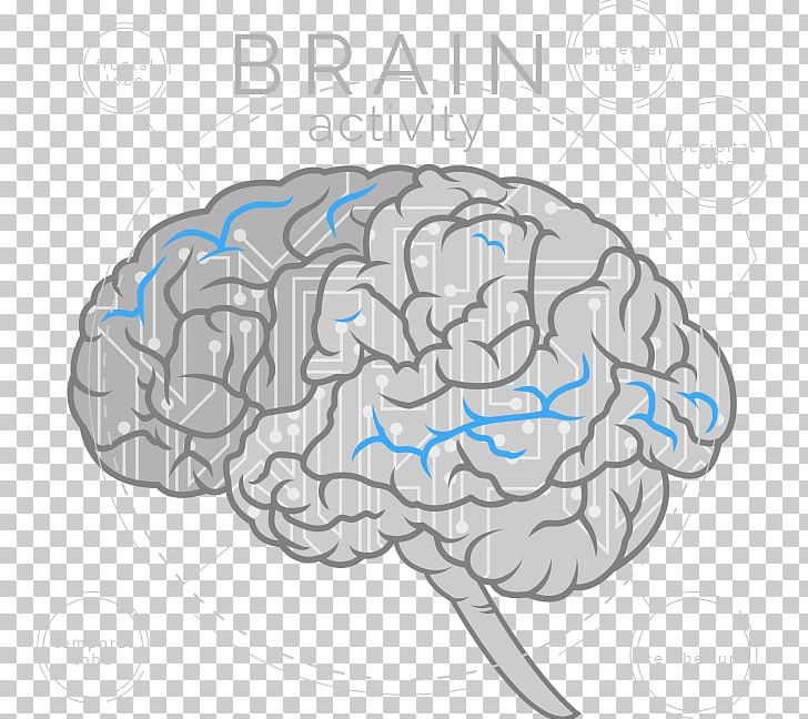 Brain Cerebrum Artificial Intelligence Neuroscience Neurofeedback PNG, Clipart, Artificial Intelligence, Brain, Brain Vector, Cerebrovascular Disease, Cerebrum Free PNG Download