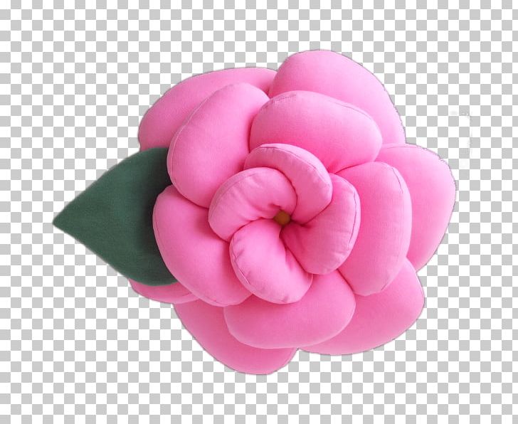 Cut Flowers Pink Color Petal PNG, Clipart, Color, Crimson, Cut Flowers, Flower, Flowering Plant Free PNG Download