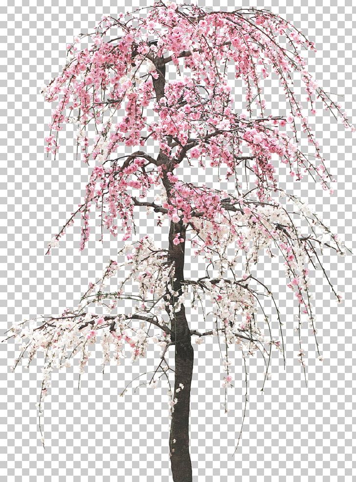 Tree Preview PNG, Clipart, Branch, Chinoiserie, Encapsulated Postscript, Flower, Flowering Plant Free PNG Download