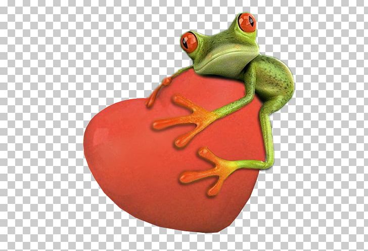 True Frog Tree Frog Felidae PNG, Clipart, Amphibian, Animals, Cat, Desktop Wallpaper, Electric Doublelayer Capacitor Free PNG Download