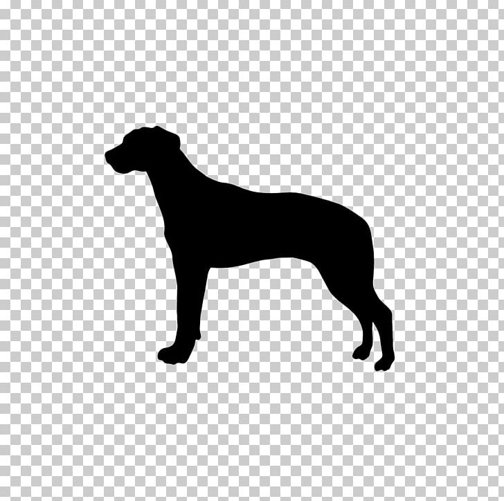 Australian Shepherd Labrador Retriever Dobermann German Shepherd Dog Breed PNG, Clipart, Australian Shepherd, Black, Black And White, Breed, Carnivoran Free PNG Download