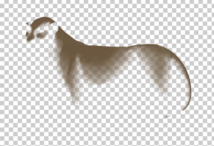 Dog Breed Italian Greyhound Saluki Whippet Borzoi PNG, Clipart, Animals, Black Lion Tamarin, Borzoi, Carnivoran, Companion Dog Free PNG Download