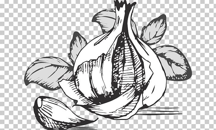 Garlic Food Vegetable PNG, Clipart, Art, Artwork, Auglis, Black And White, Dietary Fiber Free PNG Download