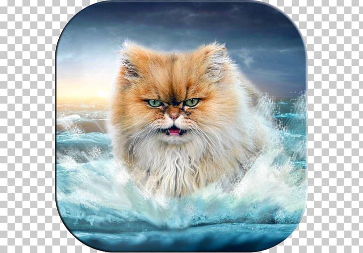 Lolcat Desktop IPhone 6 PNG, Clipart, Animals, Asian Semi Longhair, Carnivoran, Cat Like Mammal, Desktop Wallpaper Free PNG Download
