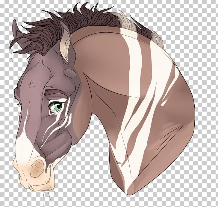 Mane Mustang Halter Stallion Rein PNG, Clipart, Bridle, Cartoon, Character, Ear, Fiction Free PNG Download