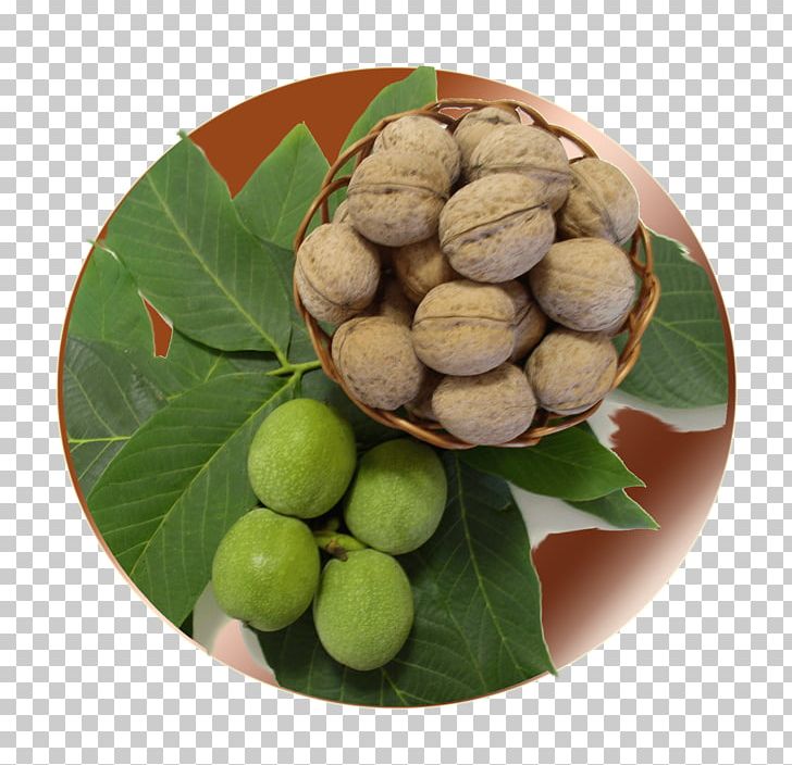 Walnut Macadamia Natural Foods Superfood PNG, Clipart, Food, Fruit, Fruit Nut, Ingredient, Macadamia Free PNG Download