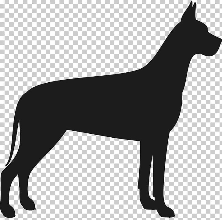 Great Dane Llama Silhouette Bull Terrier PNG, Clipart, Black, Black And White, Bull Terrier, Carnivoran, Cartoon Free PNG Download
