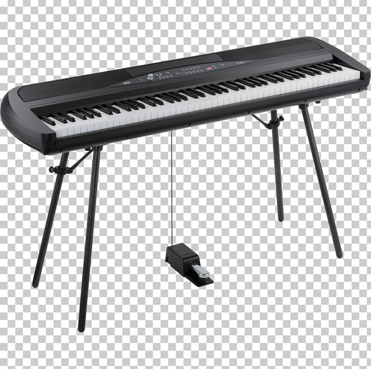 Korg SP-280 Digital Piano Electric Piano Stage Piano PNG, Clipart, Action, Concert, Digital, Digital Piano, Electric Piano Free PNG Download