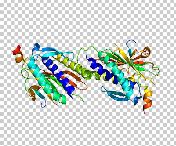 MAD2L2 REV3L Protein Gene DNA PNG, Clipart, 2 L, Anaphase, Area, Art, Body Jewelry Free PNG Download