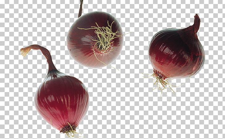 Yellow Onion Shallot Red Onion PNG, Clipart, Author, Beetroot, Food, Ingredient, Megabyte Free PNG Download