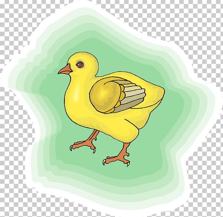Chicken Animation Bird PNG, Clipart, Animals, Animation, Art, Beak, Bird Free PNG Download