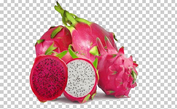 Dragon City Pitaya Hylocereus Undatus Fruit Food PNG, Clipart, Android, Auglis, Cut Flowers, Dragon City, Dragon Fruit Free PNG Download