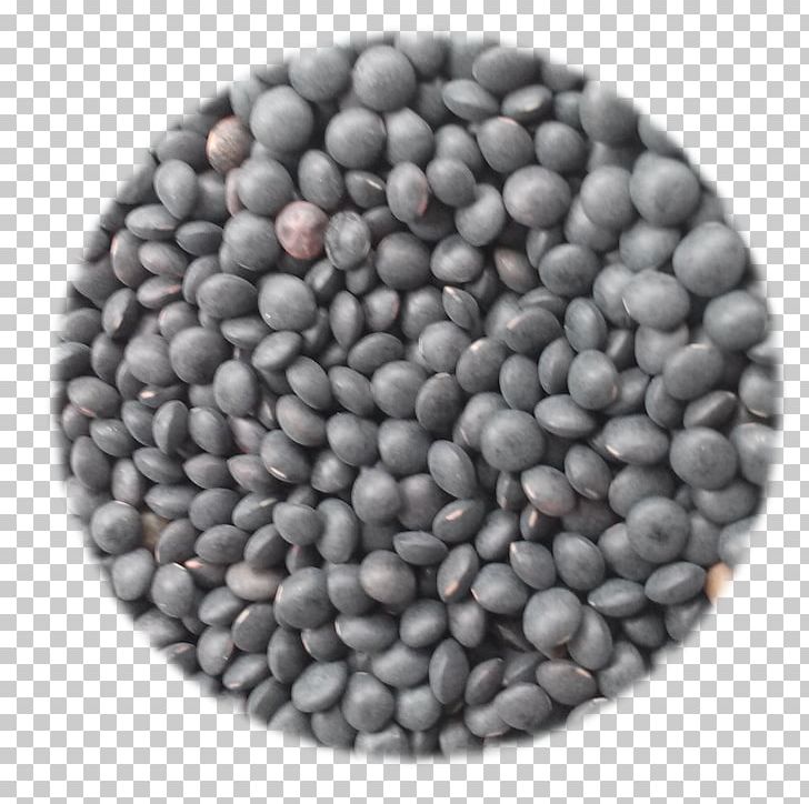 Seed Commodity Bean PNG, Clipart, Bean, Beluga, Commodity, Nuts Seeds, Others Free PNG Download