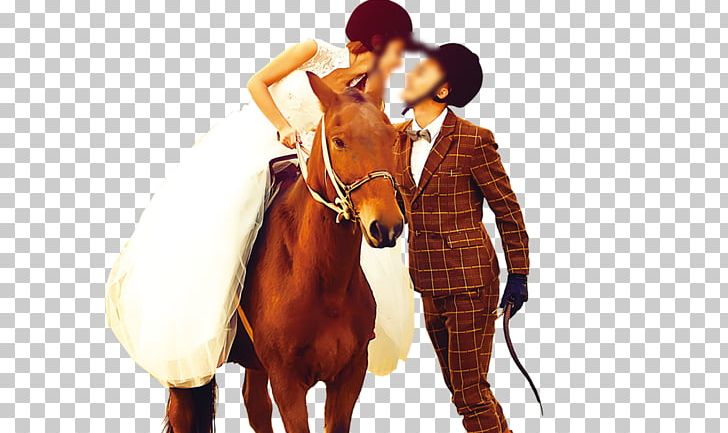 Wedding Photography Publicity Gratis Poster PNG, Clipart, Cowboy, Holidays, Horse, Horse Supplies, Horse Tack Free PNG Download