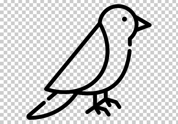 Computer Icons Encapsulated PostScript PNG, Clipart, Animal, Artwork, Avian Veterinarian, Beak, Bird Free PNG Download
