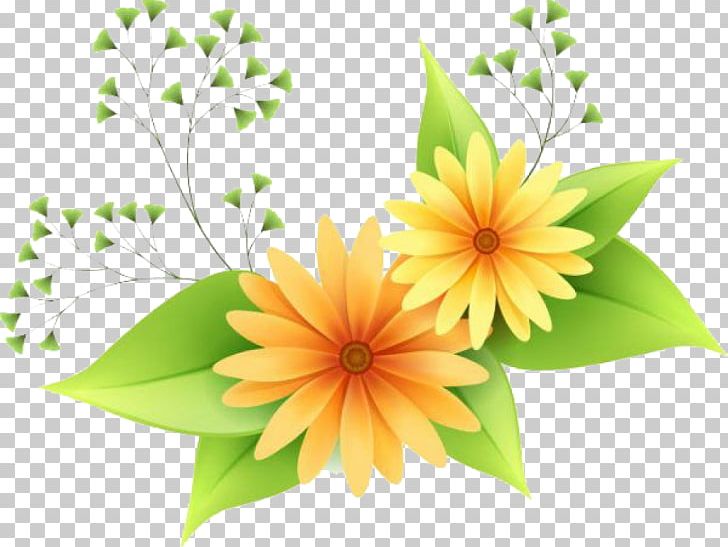 Flower PNG, Clipart, Computer Icons, Daisy Family, Desktop Wallpaper, Display Resolution, Drawing Free PNG Download