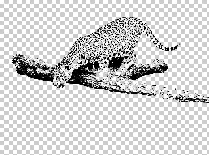 Leopard Jaguar Cars Jaguar R-Coupe Cheetah 2015 Jaguar F-TYPE R PNG, Clipart, 2015 Jaguar Ftype R, Animal Figure, Animals, Big Cats, Black And White Free PNG Download