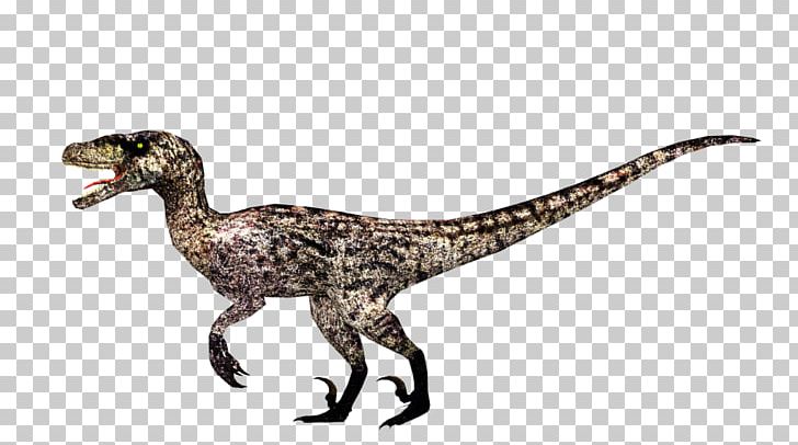 Velociraptor Zoo Tycoon 2 Deinonychus Jurassic Park Png Clipart