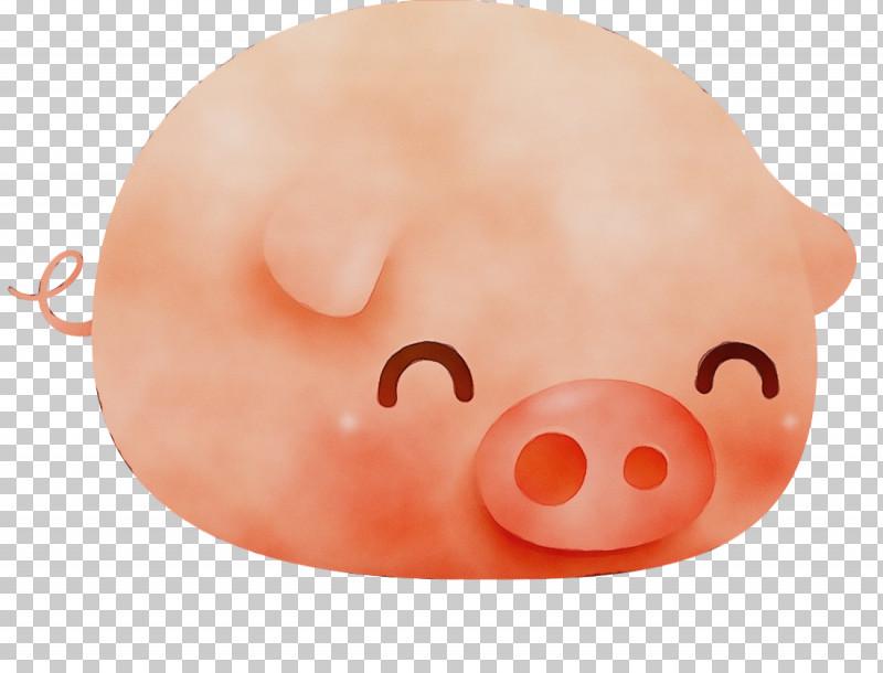 Nose Face Head Snout Suidae PNG, Clipart, Cute Pig, Face, Head, Mouth, Nose Free PNG Download