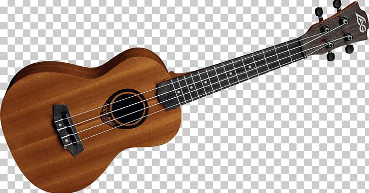 Acoustic Guitar Acoustic-electric Guitar Takamine Guitars Ukulele PNG, Clipart, Acoustic Electric Guitar, Acoustic Guitar, Cuatro, Guitar Accessory, Lag Free PNG Download