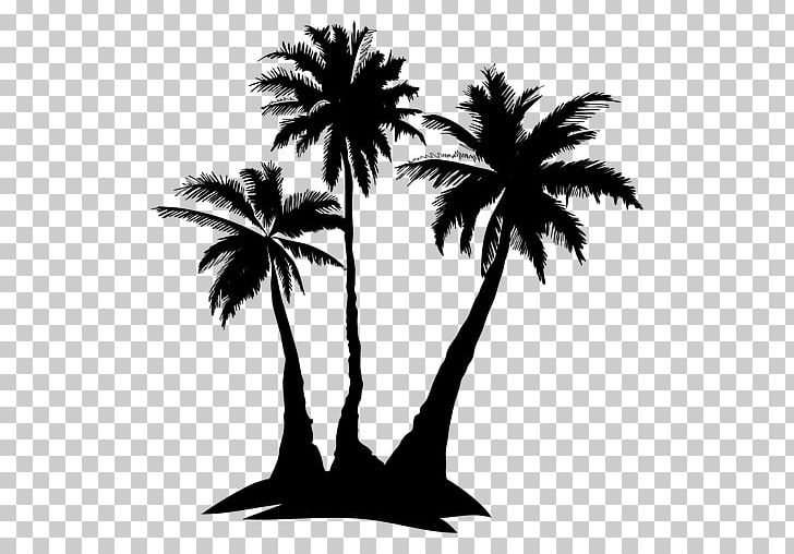 Arecaceae Silhouette PNG, Clipart, Animals, Arecaceae, Borassus Flabellifer, Branch, Date Palm Free PNG Download