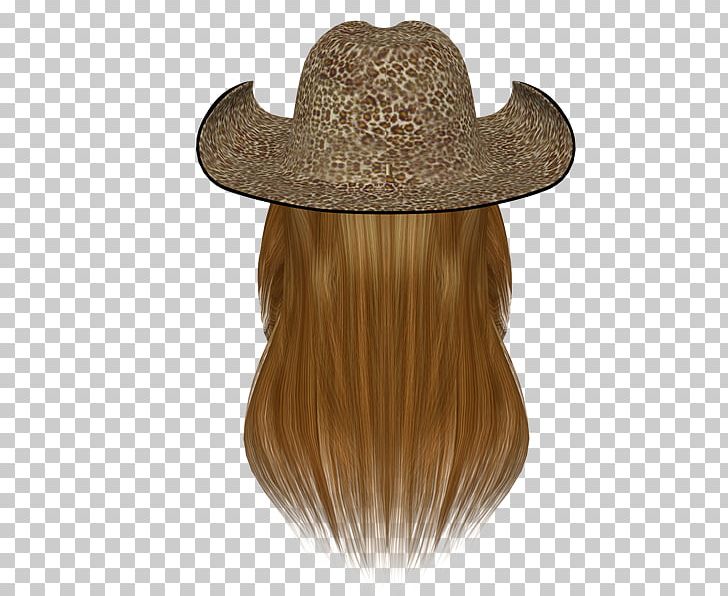 Hat Computer Hair PNG, Clipart, Bigote, Blog, Clip Art, Clothing Accessories, Computer Free PNG Download