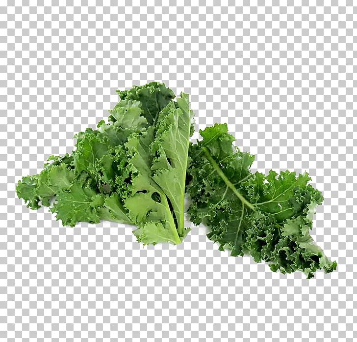Kale Romaine Lettuce Broccoli Vegetable Vegetarian Cuisine PNG, Clipart, Brassica Oleracea, Collard Greens, Food, Food Drinks, Green Free PNG Download