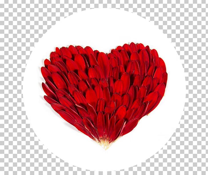 Petal Cut Flowers PNG, Clipart, Cut Flowers, Flower, Heart, Petal, Red Free PNG Download