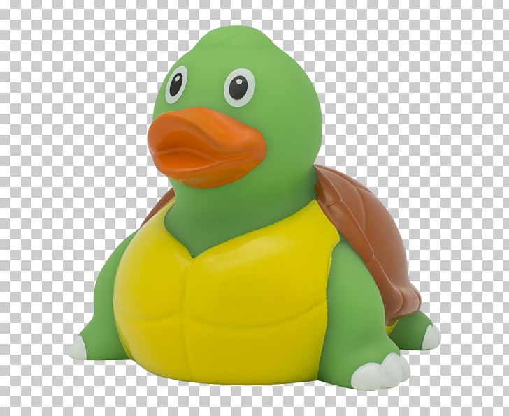 Rubber Duck Turtle Toy Baths PNG, Clipart, Amsterdam Duck Store, Amsterdam Wigeon, Animal, Animals, Bathroom Free PNG Download