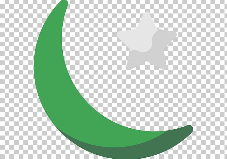 Symbols Of Islam Computer Icons Religion PNG, Clipart, Circle, Computer Icons, Crescent, Grass, Green Free PNG Download