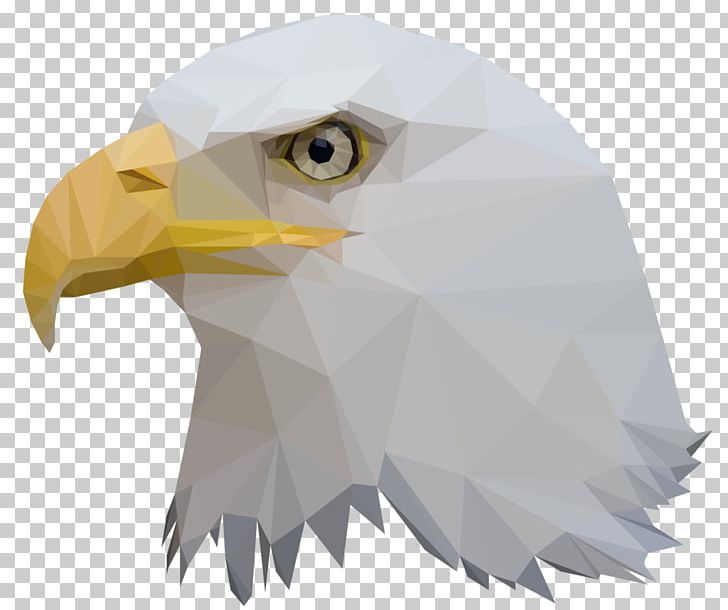 Bald Eagle Bird Low Poly Animal PNG, Clipart, Animal, Animals, Art, Bald Eagle, Beak Free PNG Download
