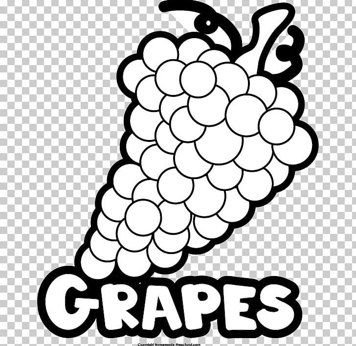 Common Grape Vine White Wine PNG, Clipart, Black And White, Coloring Book, Common Grape Vine, Flora, Flower Free PNG Download
