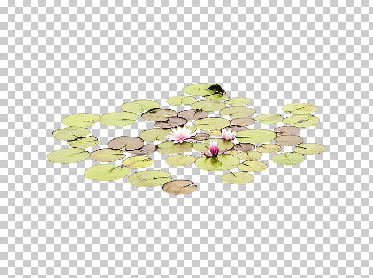 Gemstone PNG, Clipart, Gemstone, Jewellery, Nature, Petal, Pygmy Waterlily Free PNG Download