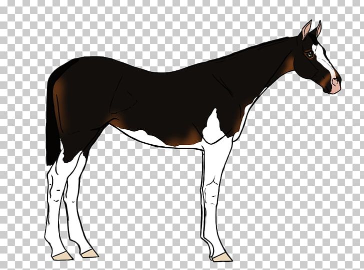 Mule Foal Mustang Mare Stallion PNG, Clipart,  Free PNG Download