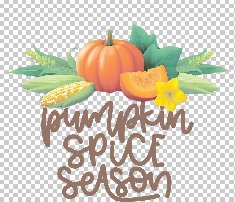 Autumn Pumpkin Spice Season Pumpkin PNG, Clipart, Autumn, Cartoon, Cooking Oil, Drawing, Natural Food Free PNG Download