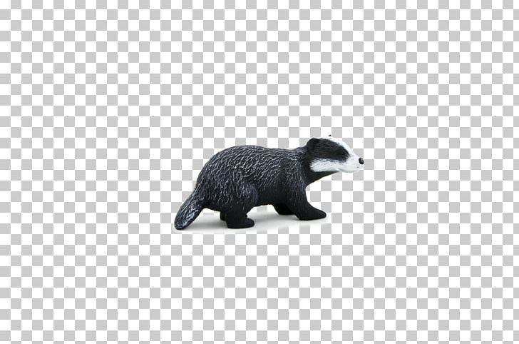 Badger PNG, Clipart, Badger Free PNG Download