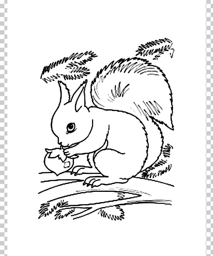 Flying Squirrel Coloring Book Red Squirrel PNG, Clipart, Animal, Black, Black And White, Carnivoran, Cartoon Free PNG Download
