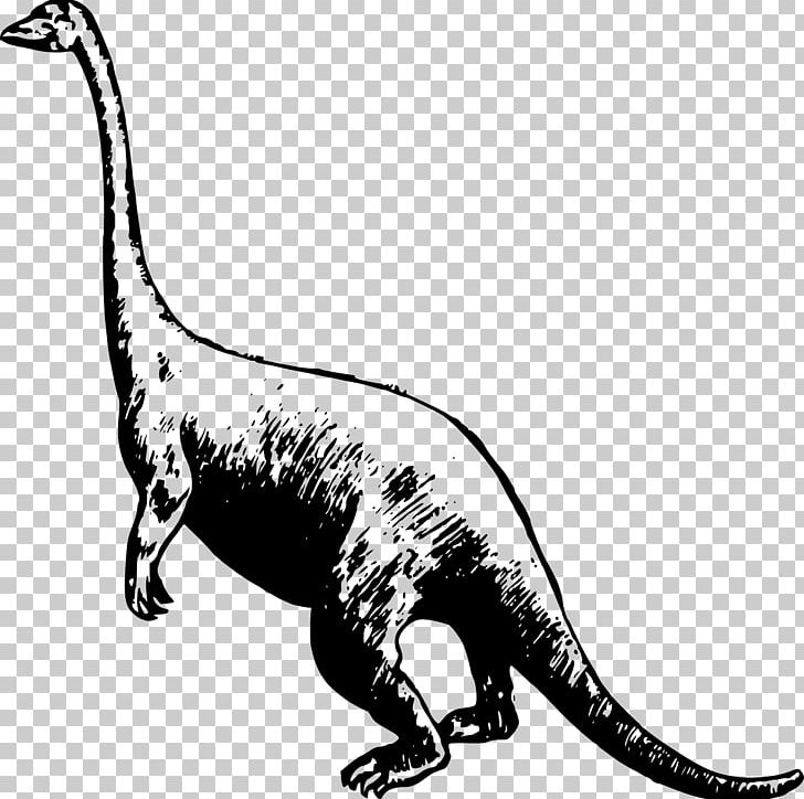 Tyrannosaurus Velociraptor Ankylosaurus Triceratops Deinonychus PNG, Clipart, Ankylosaurus, Black And White, Carnivoran, Deinonychus, Dinosaur Free PNG Download