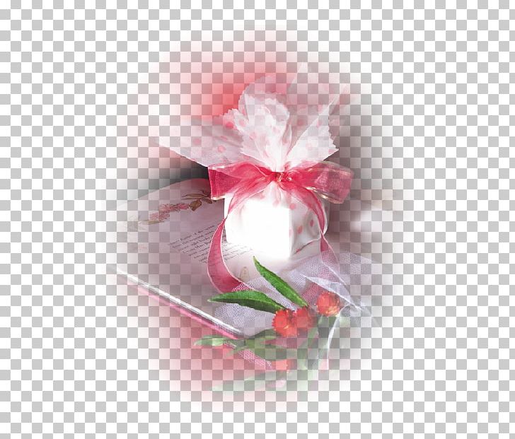 Ribbon Petal Gift Flower Computer PNG, Clipart, Blog, Blossom, Chu, Computer, Computer Wallpaper Free PNG Download