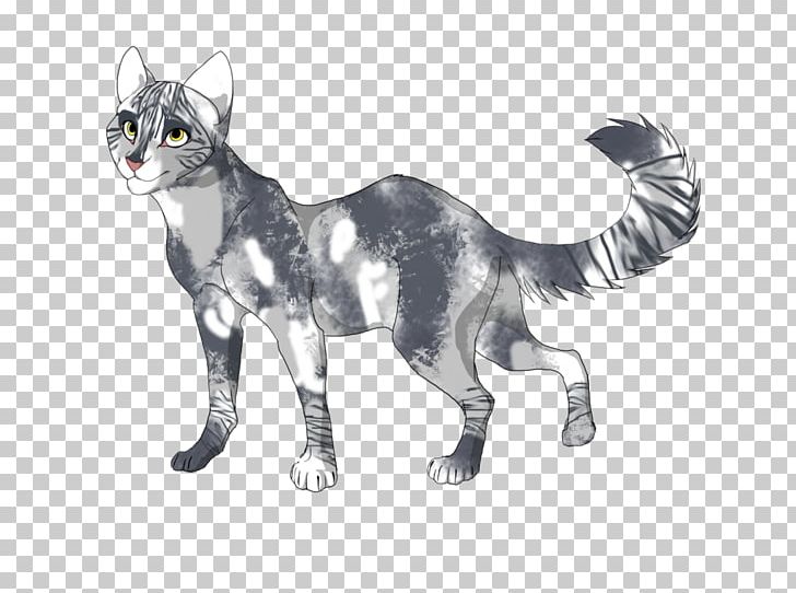 Whiskers American Wirehair Kitten Domestic Short-haired Cat Tabby Cat PNG, Clipart, American Wirehair, Animals, Carnivoran, Cat, Cat Like Mammal Free PNG Download