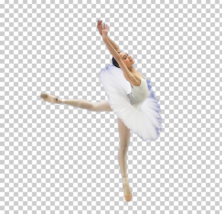 Ballet Dancer Ballet Dancer PNG, Clipart, Arm, Art, Background White, Balerin, Ball Free PNG Download
