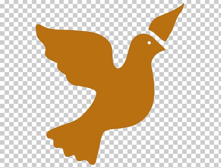 Columbidae Doves As Symbols Peace Symbols PNG, Clipart, Beak, Bird, Brown, Chicken, Columbidae Free PNG Download